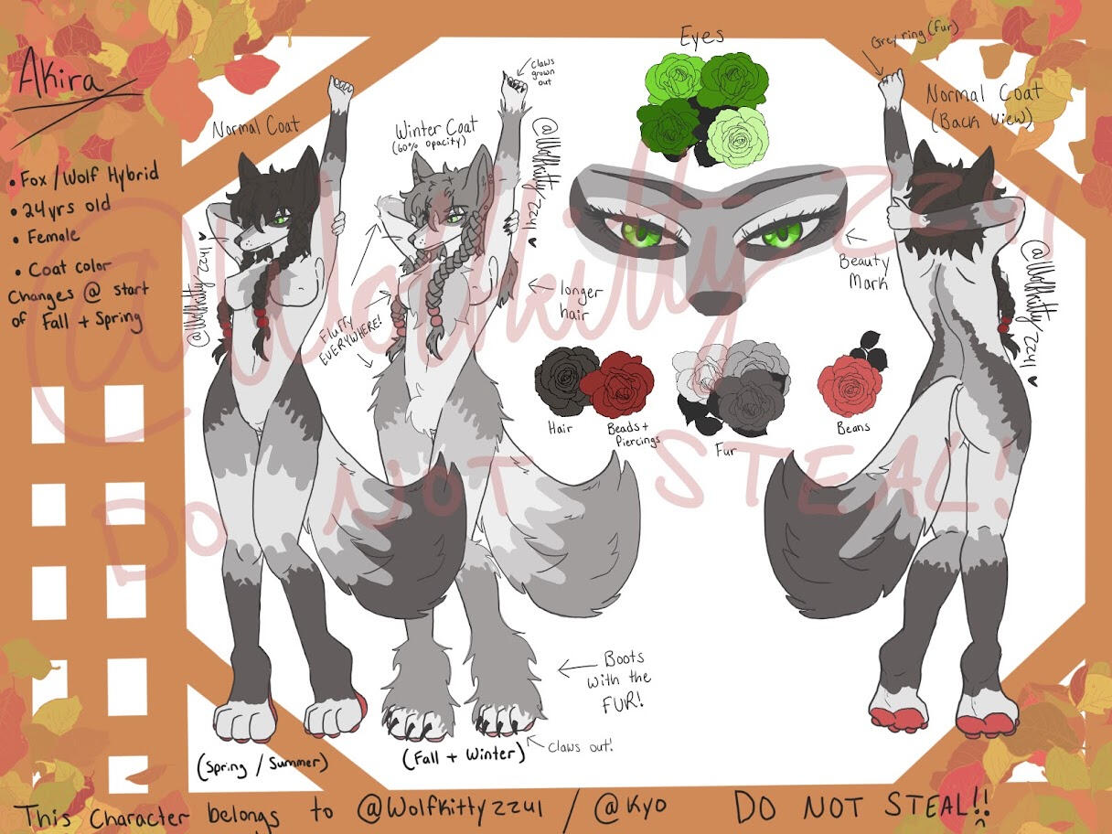 Akira Ref Sheet (@Wolfkitty2241's OC)
